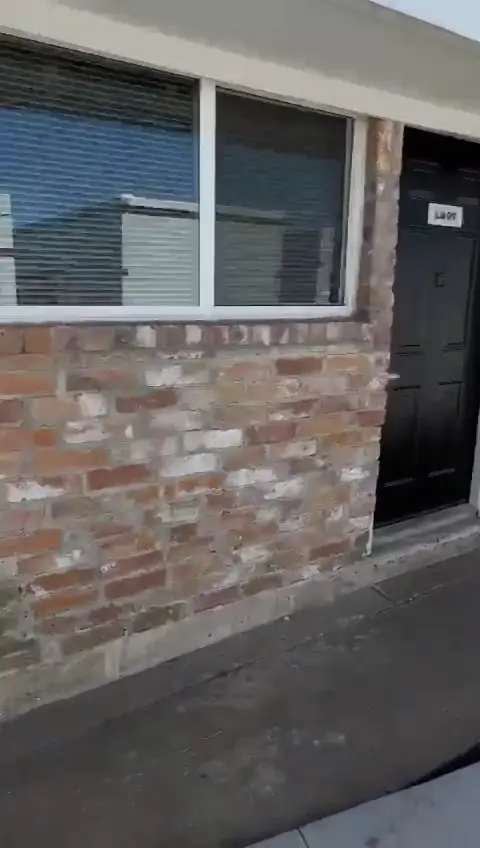 AL Rooter Plumbing job video still 1
