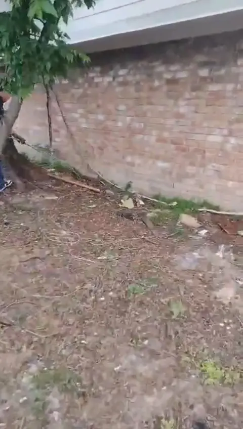 AL Rooter Plumbing job video still 5